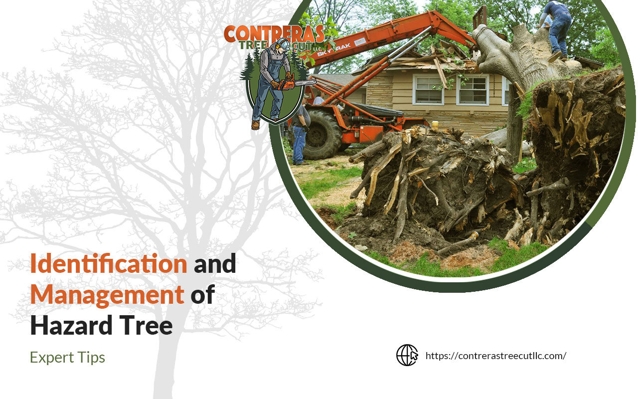 Identifying Hazard Trees for Safety.