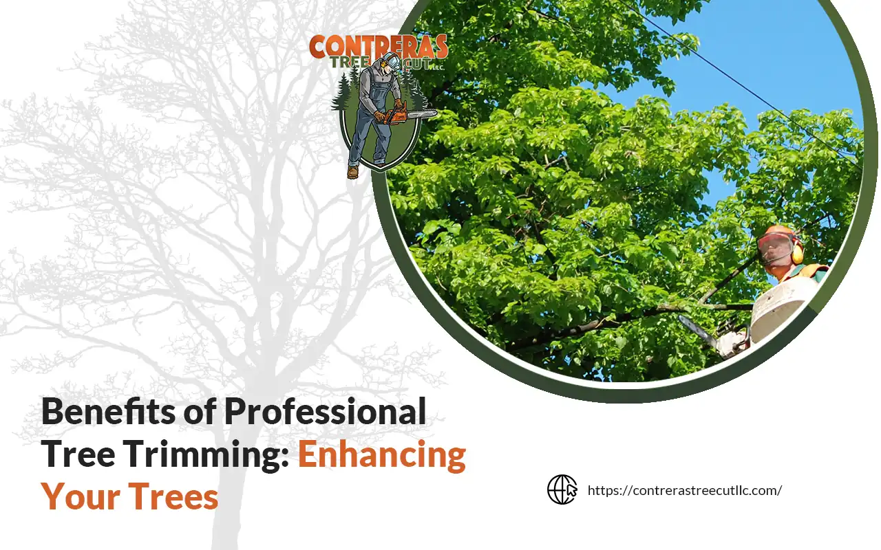 benefits of professional tree trimming