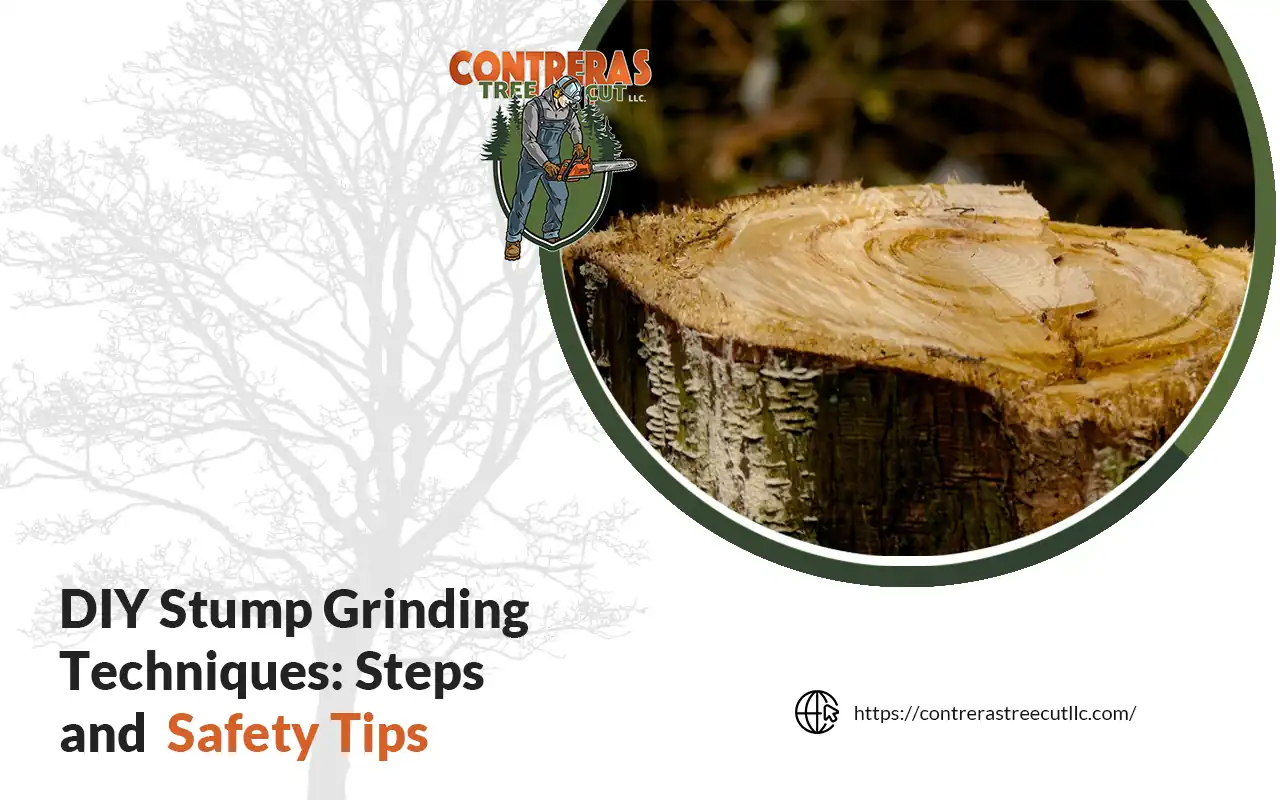 DIY stump grinding techniques