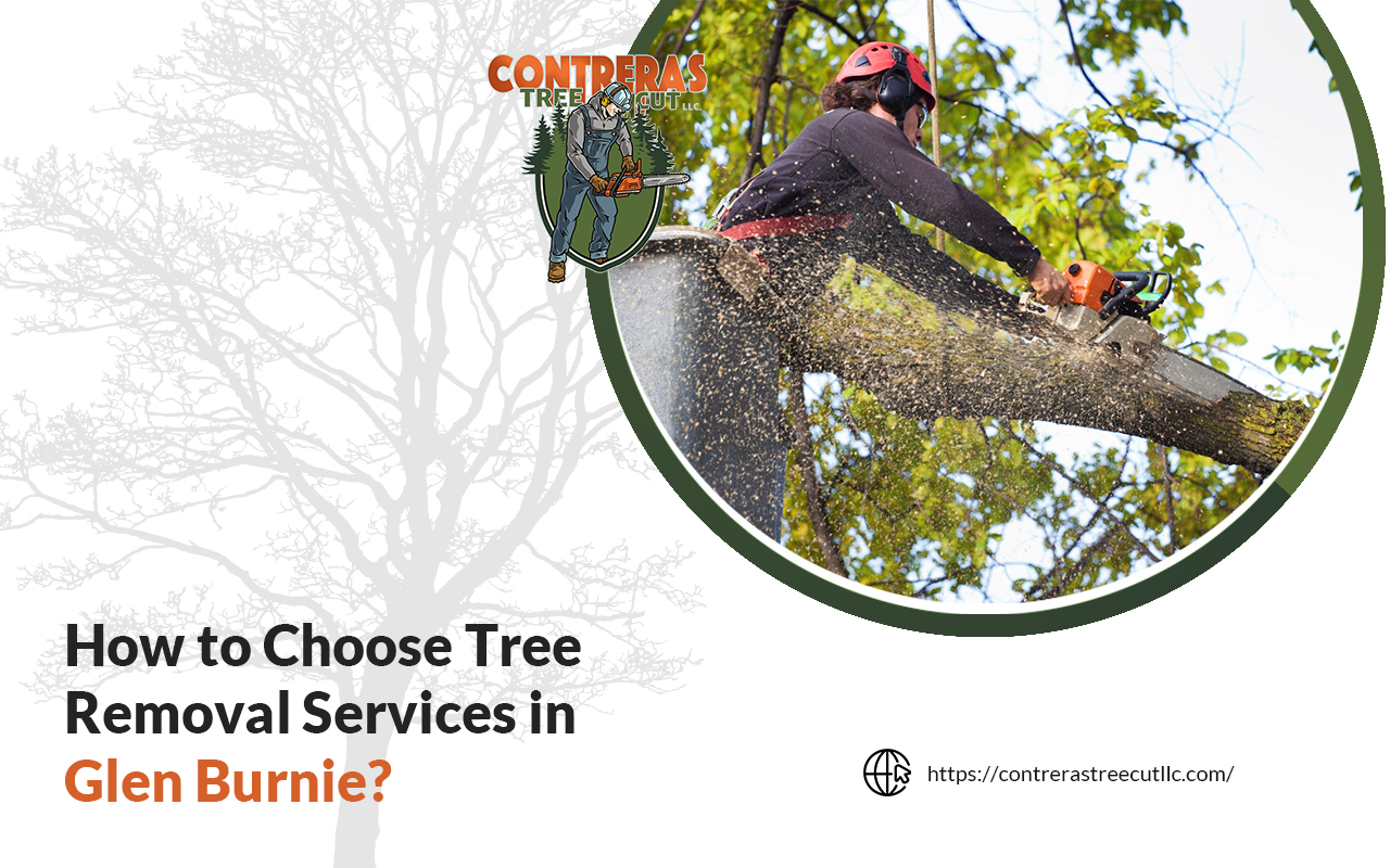 How to Choose Tree Removal Services in Glen Burnie.