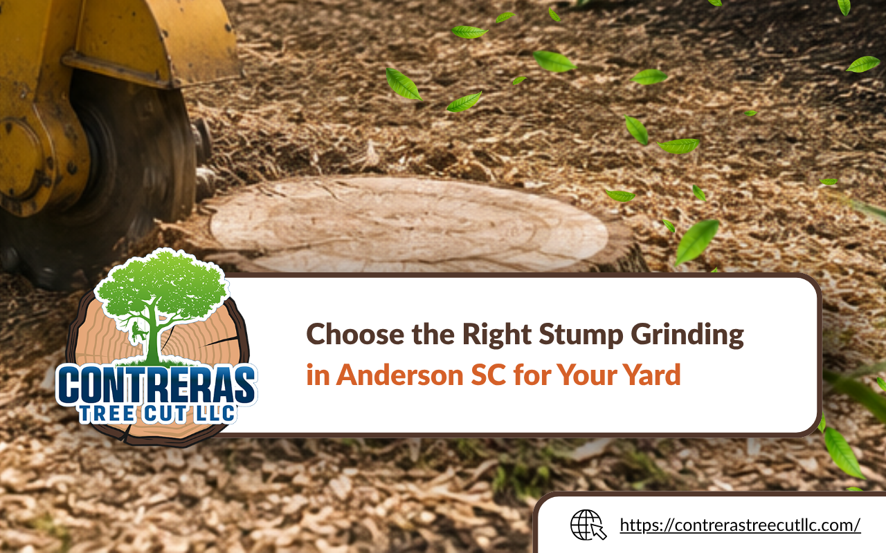 Stump grinding in Anderson, SC for a cleaner residential yard
