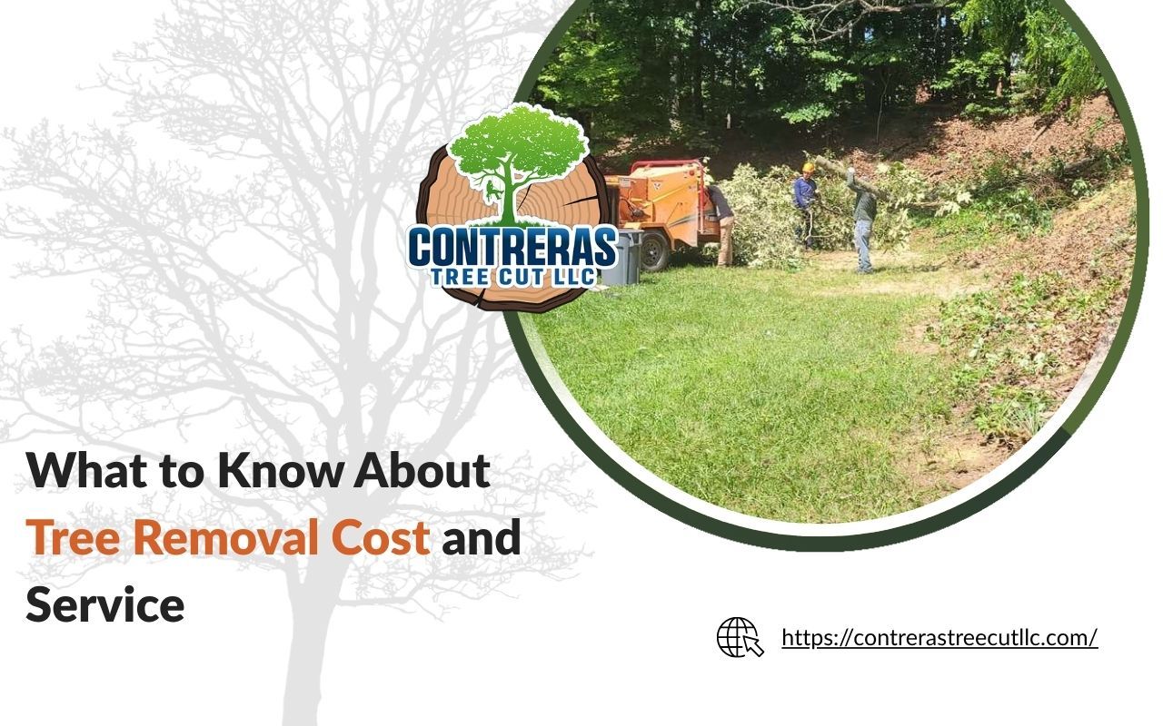 Tree removal team handling a fallen tree after a storm