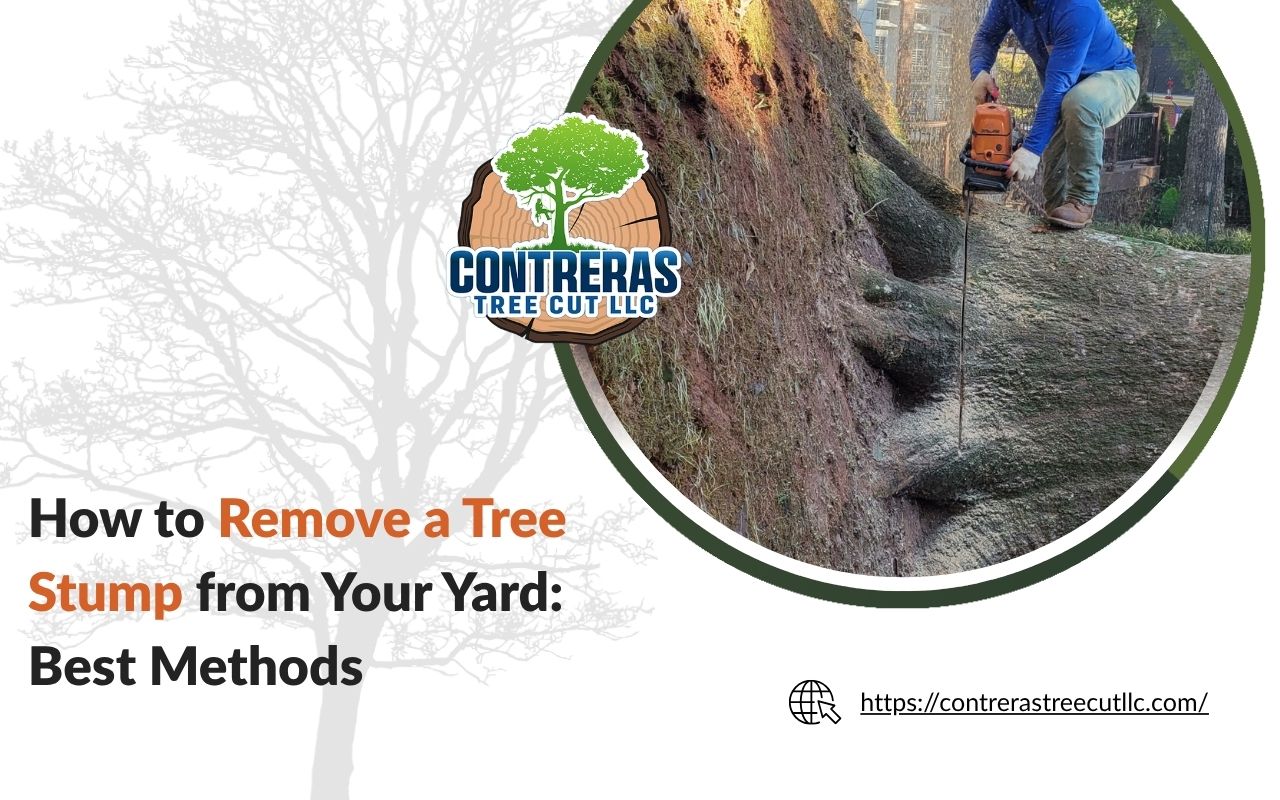 Homeowner using shovel to remove a tree stump manually