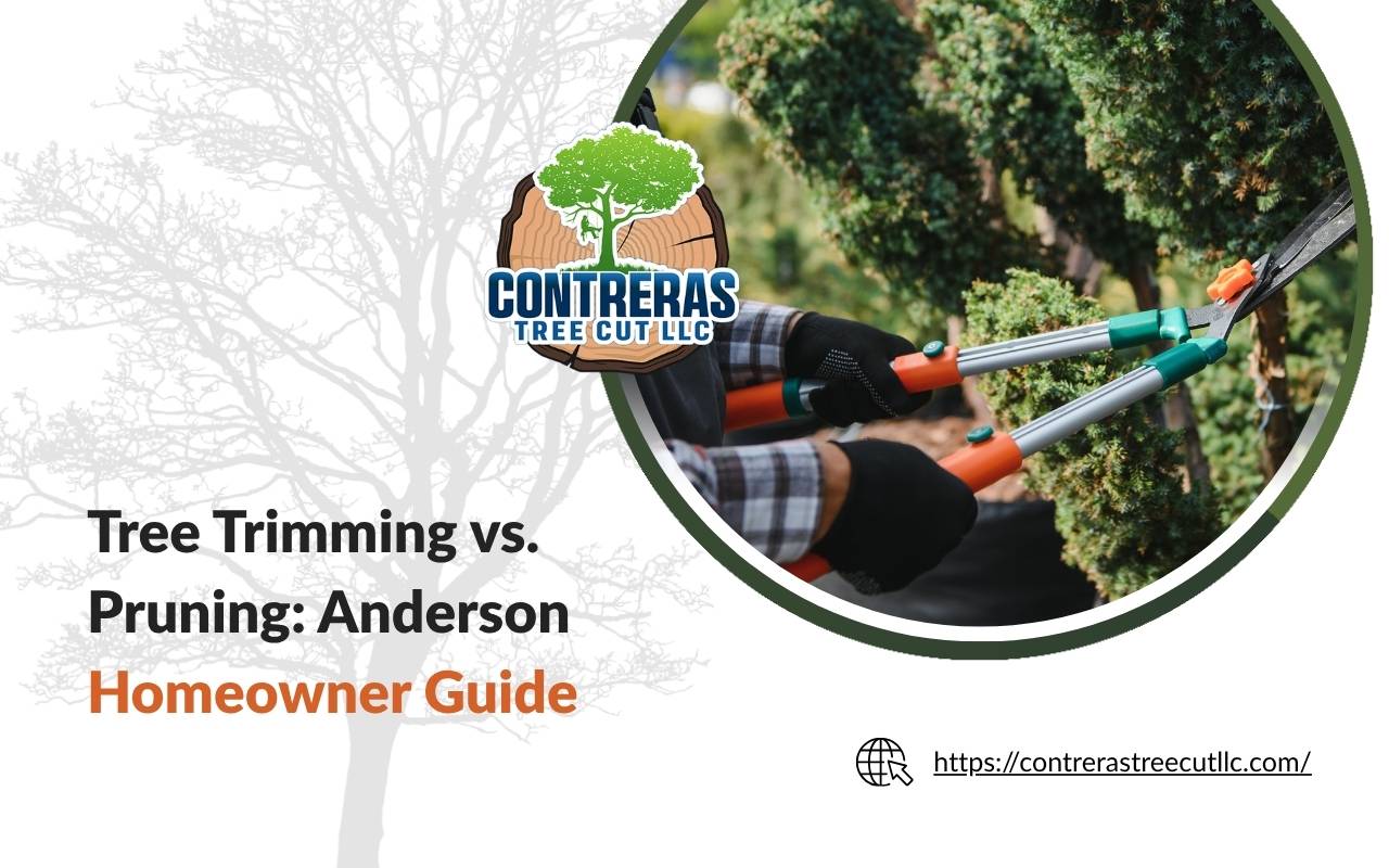 Professional tree trimming vs pruning service in Anderson
