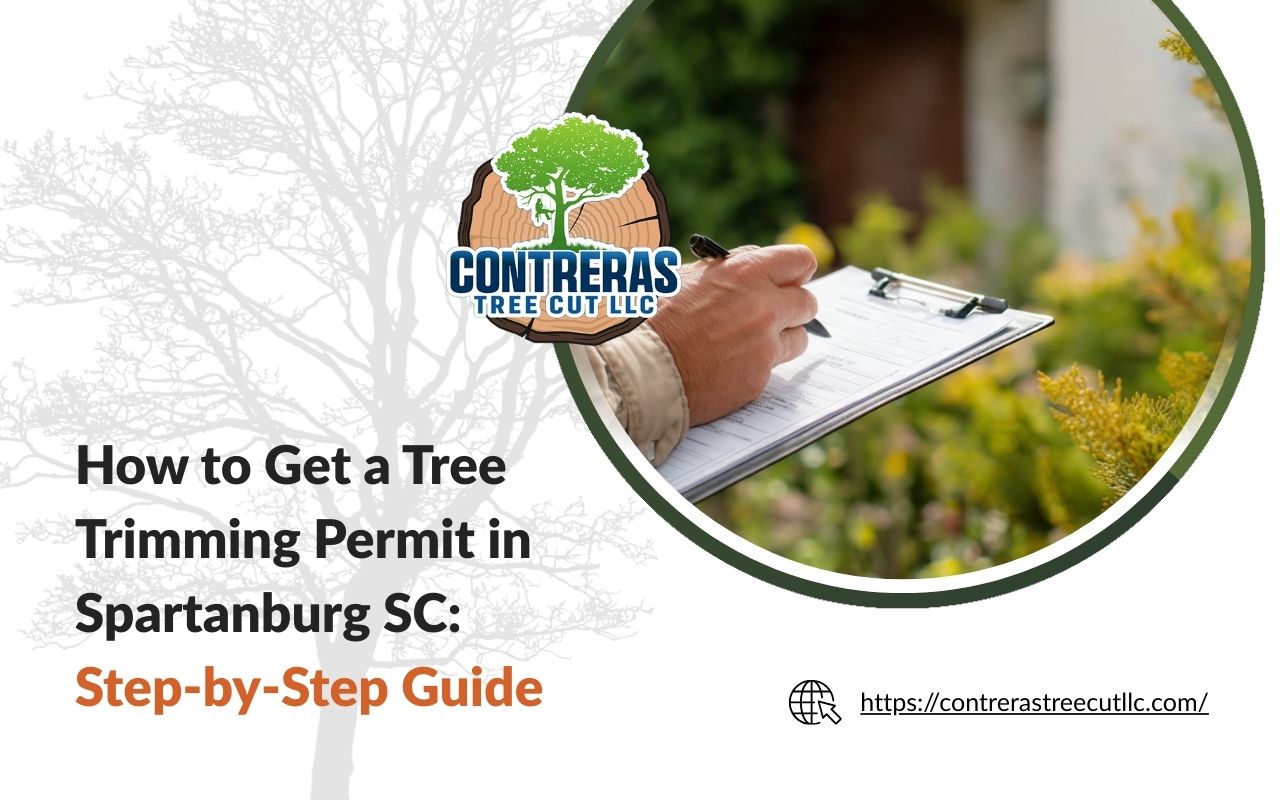 Homeowner reviewing a Tree Trimming Permit in Spartanburg SC application checklist