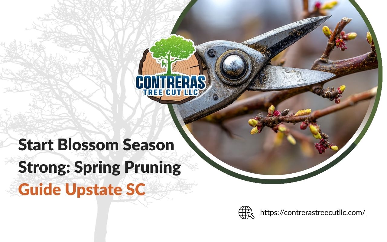 Spring pruning guide Upstate SC showing clean cuts with hand pruners on small branches