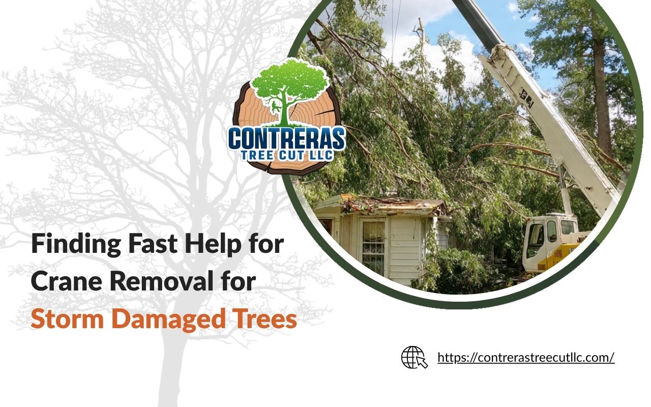 crane removal for storm damaged trees near a damaged home after a storm