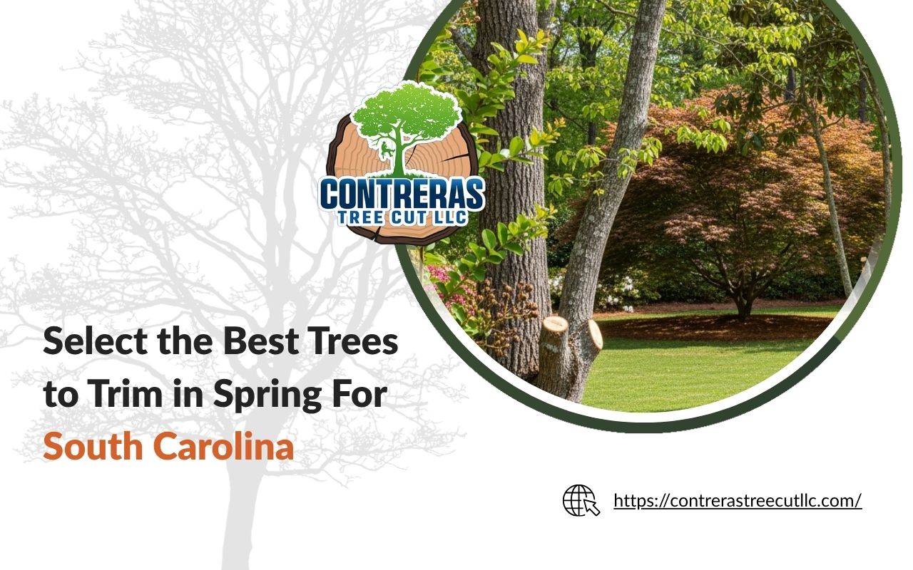 best trees to trim in spring in South Carolina in a healthy yard
