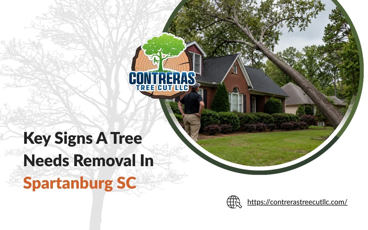 Signs a tree needs removal in Spartanburg, SC with a leaning tree near a home
