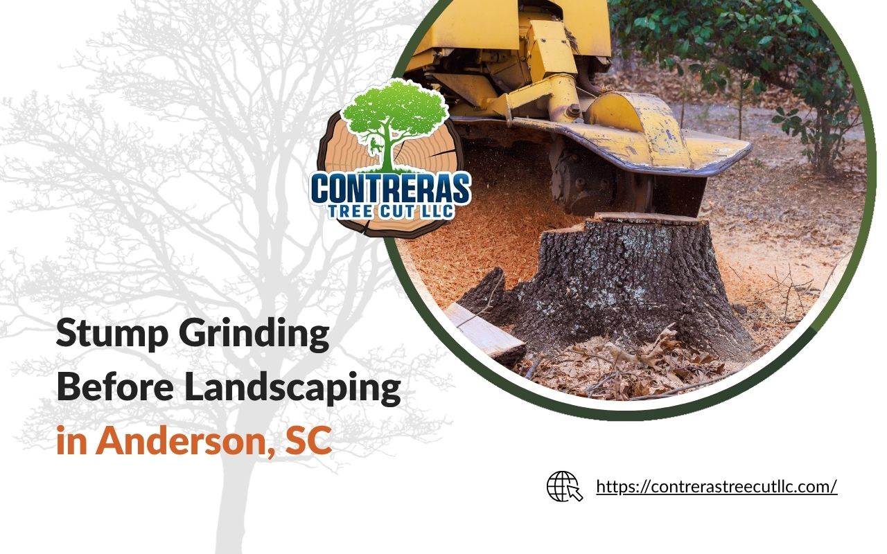 Stump grinding before landscaping in Anderson, SC for a cleaner yard